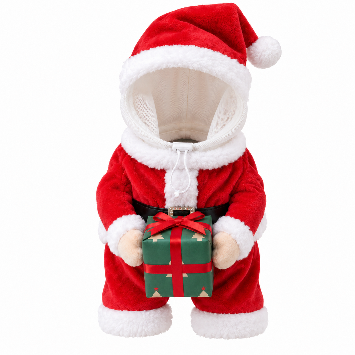 Christmas Pet Costume