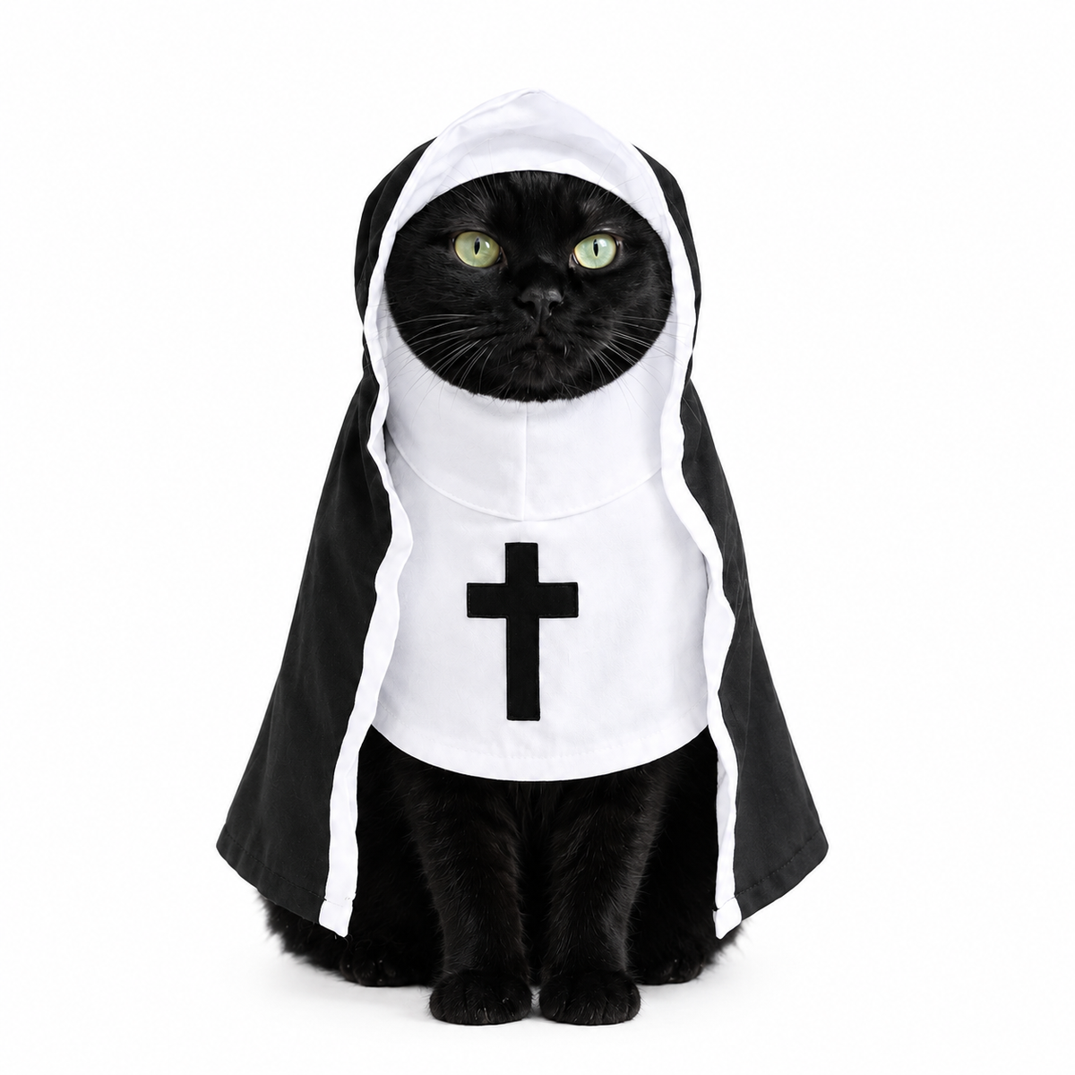 Holy Pet Costume