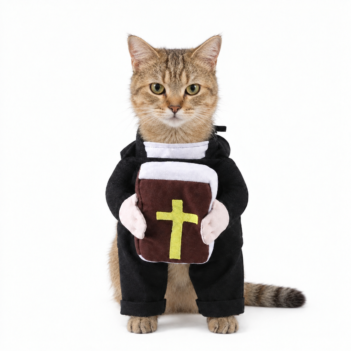Holy Pet Costume
