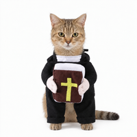 Holy Priest