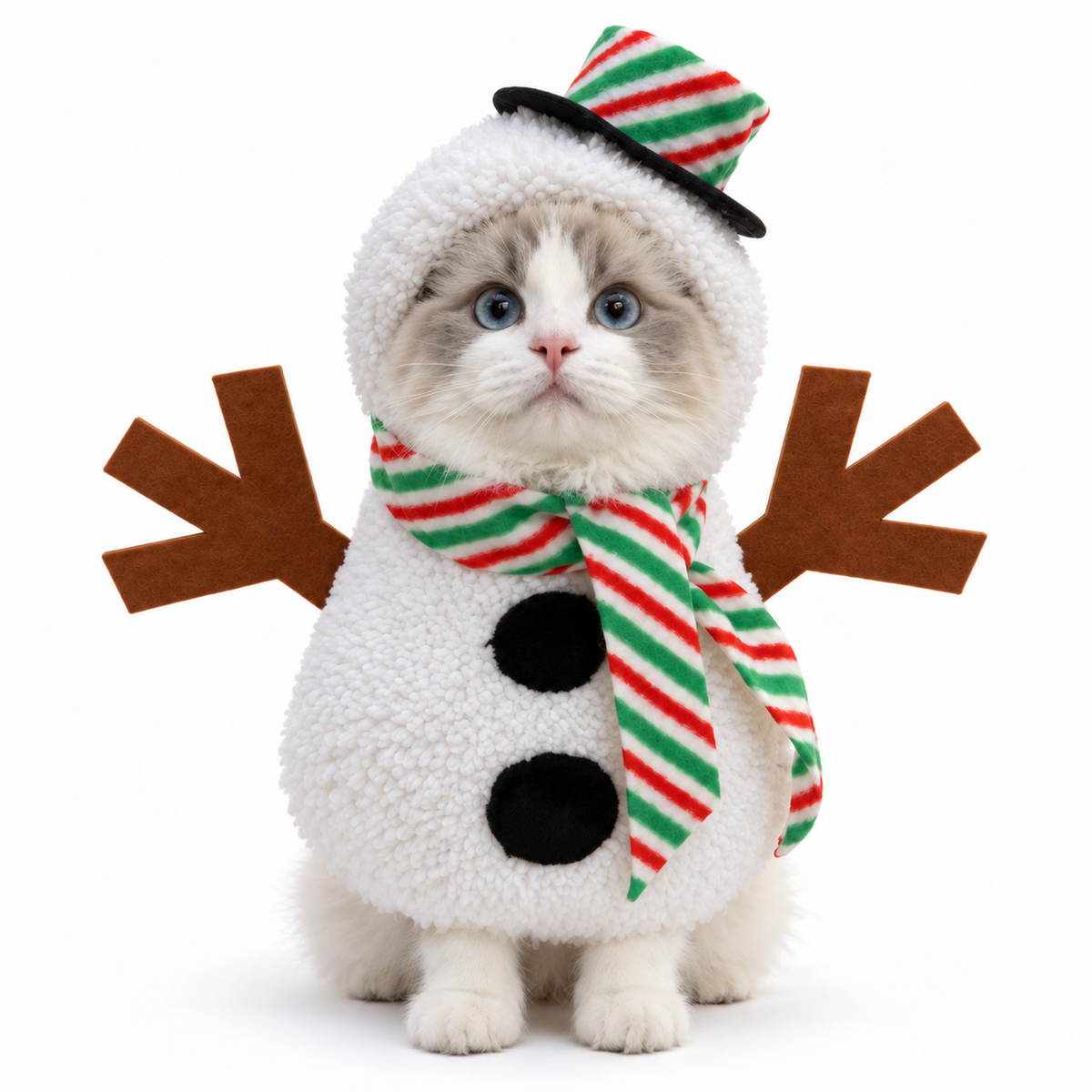 Christmas Pet Costume