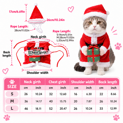 Christmas Pet Costume