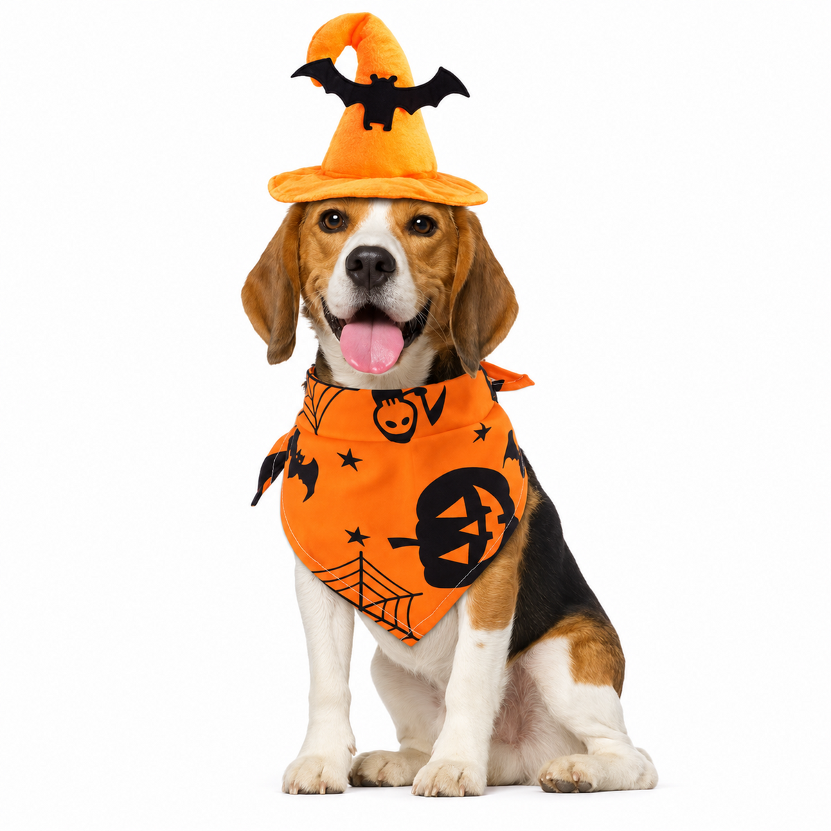 Wicked Pet Costume