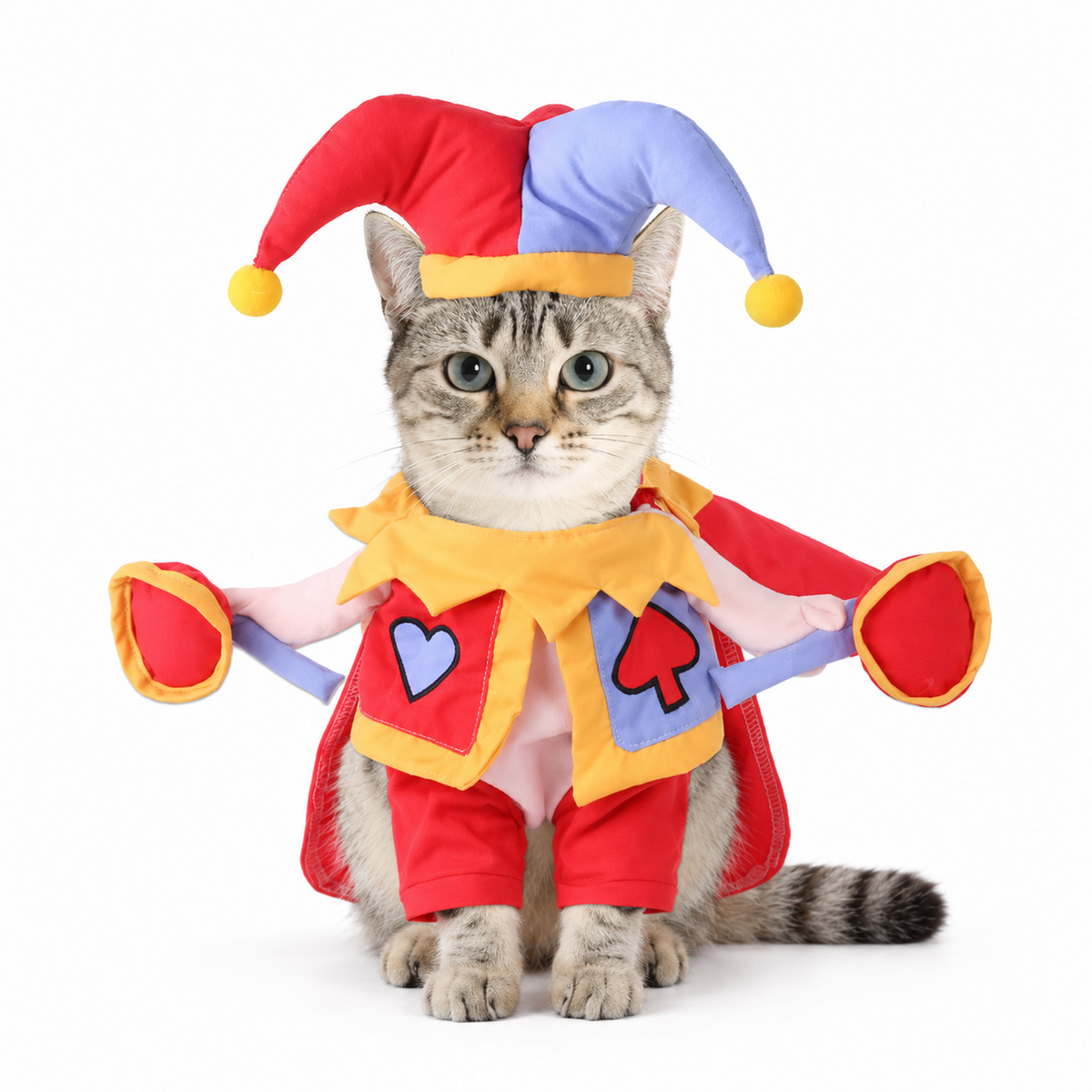 Clown Pet Costume