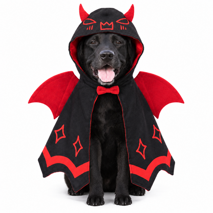 Wicked Pet Costume