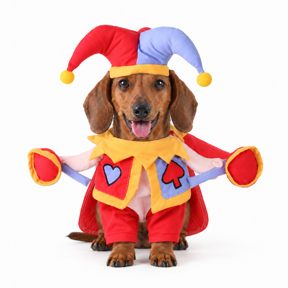 Clown Pet Costume