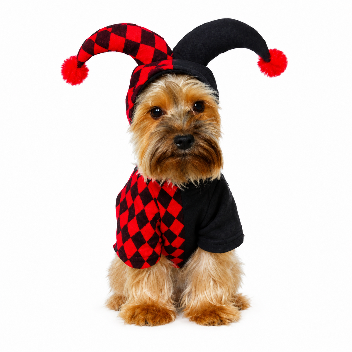 Clown Pet Costume