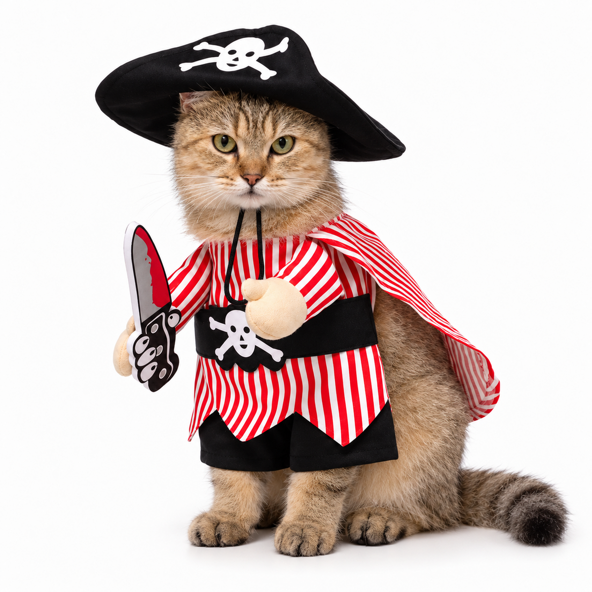 Pirate Pet Costume