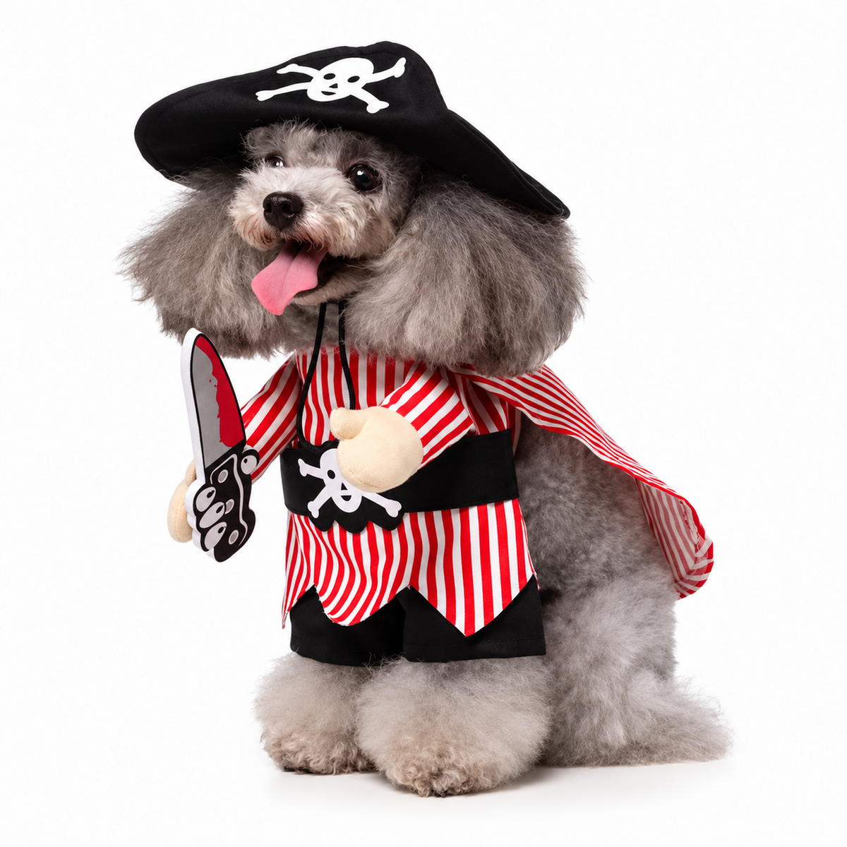 Pirate Pet Costume