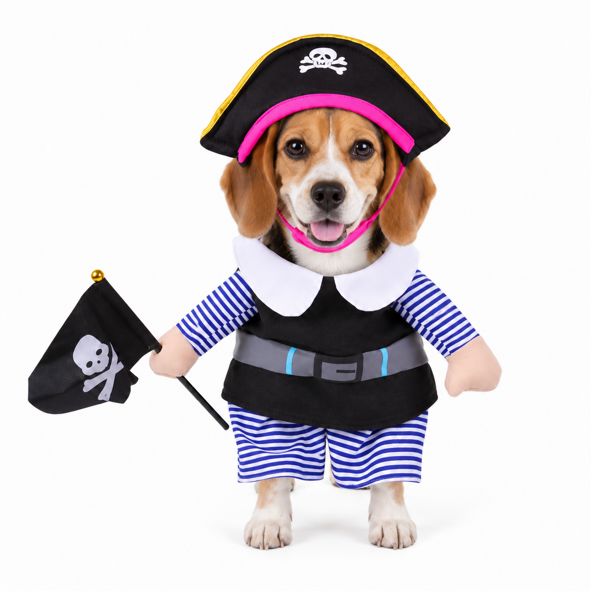 Pirate Pet Costume