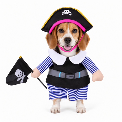 Pirate Pet Costume