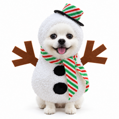 Christmas Pet Costume